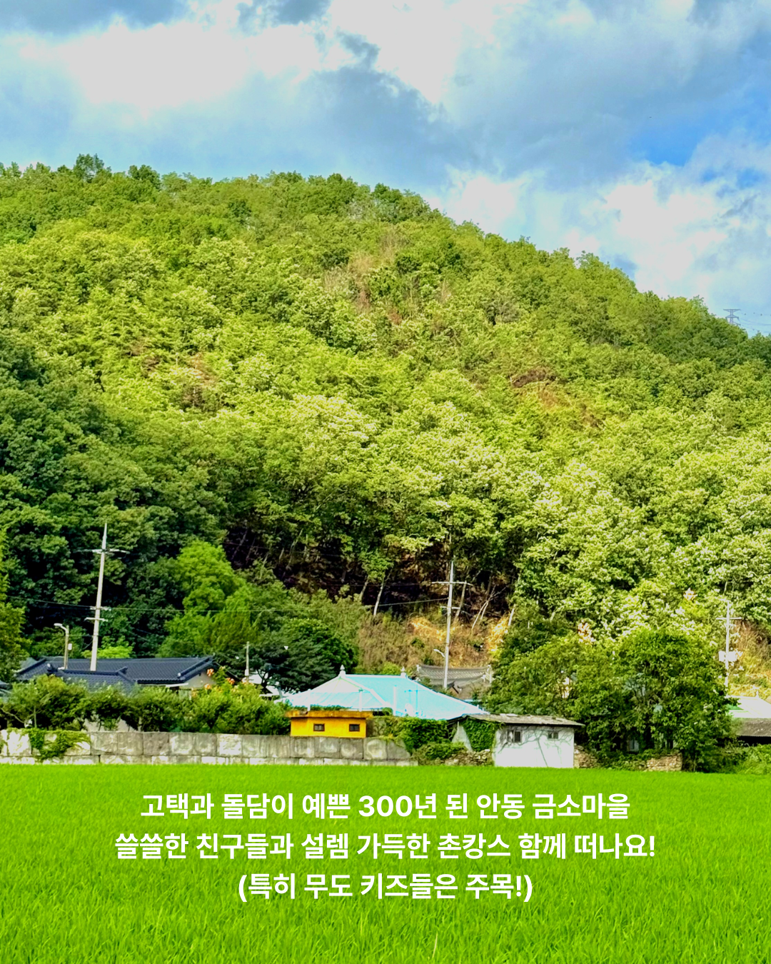 쓸친소 in 금소마을 상세 이미지 1